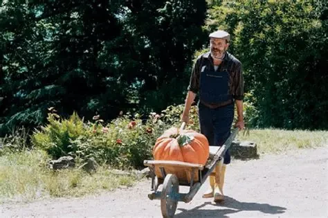 Ciné Class - Dialogue avec mon Jardinier
