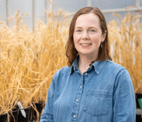 Dr Alison Bentley